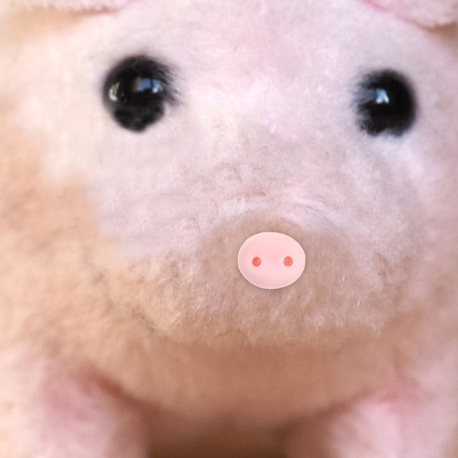 Embellishment Glue Craft - 100 Stück Kunstharz-Schweinenasen Bastelzubehör für Tierprojekte